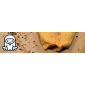 Petto